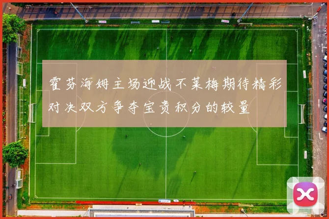 霍芬海姆主场迎战不莱梅期待精彩对决双方争夺宝贵积分的较量