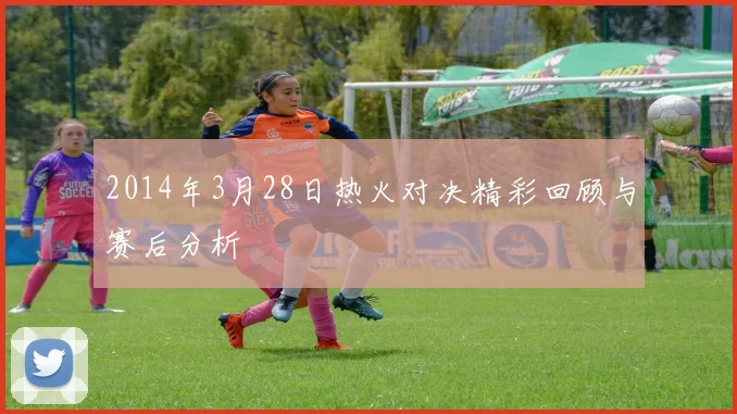 2014年3月28日热火对决精彩回顾与赛后分析